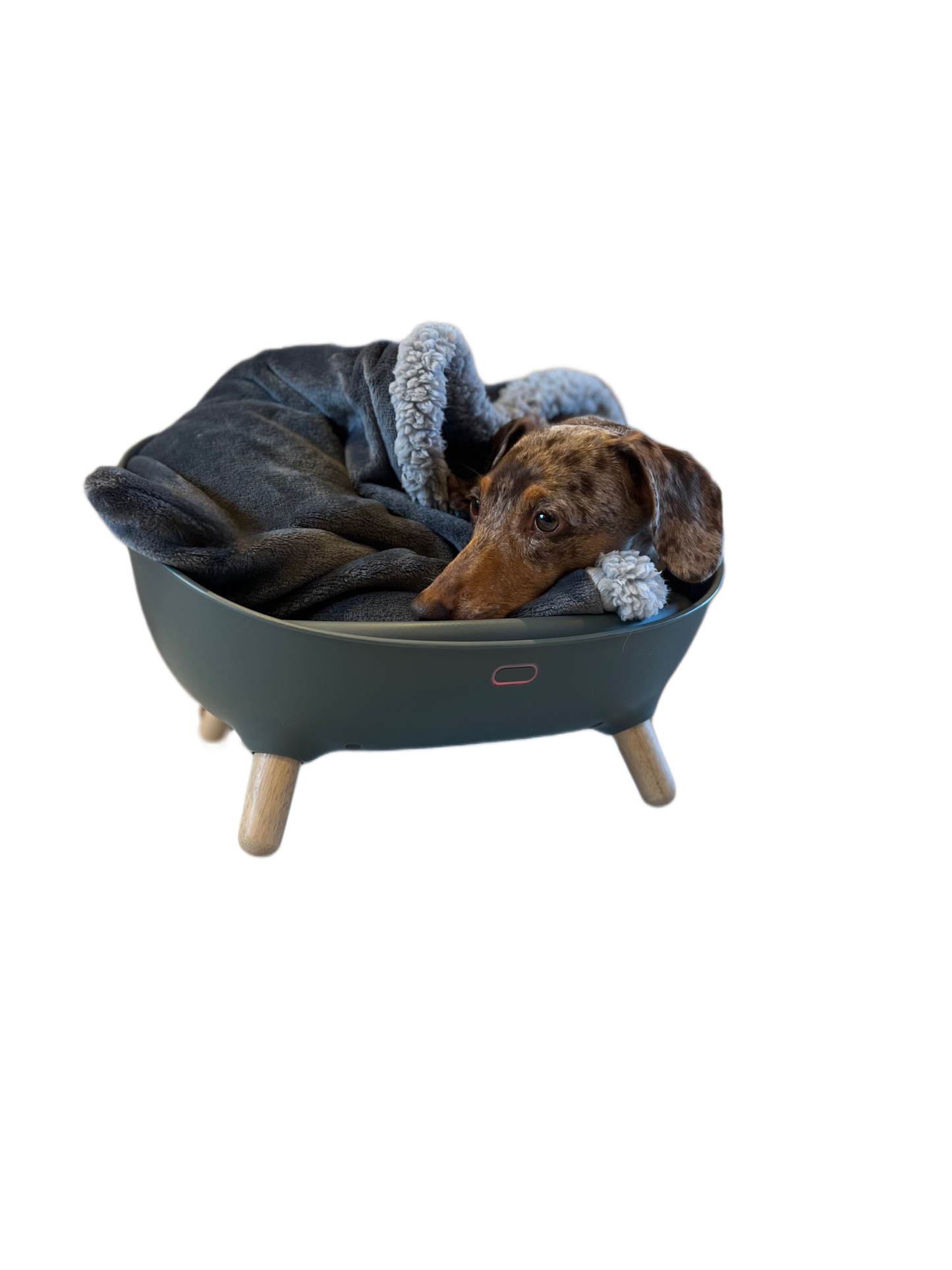 ThermiBed - Heating & Cooling Pet Bed