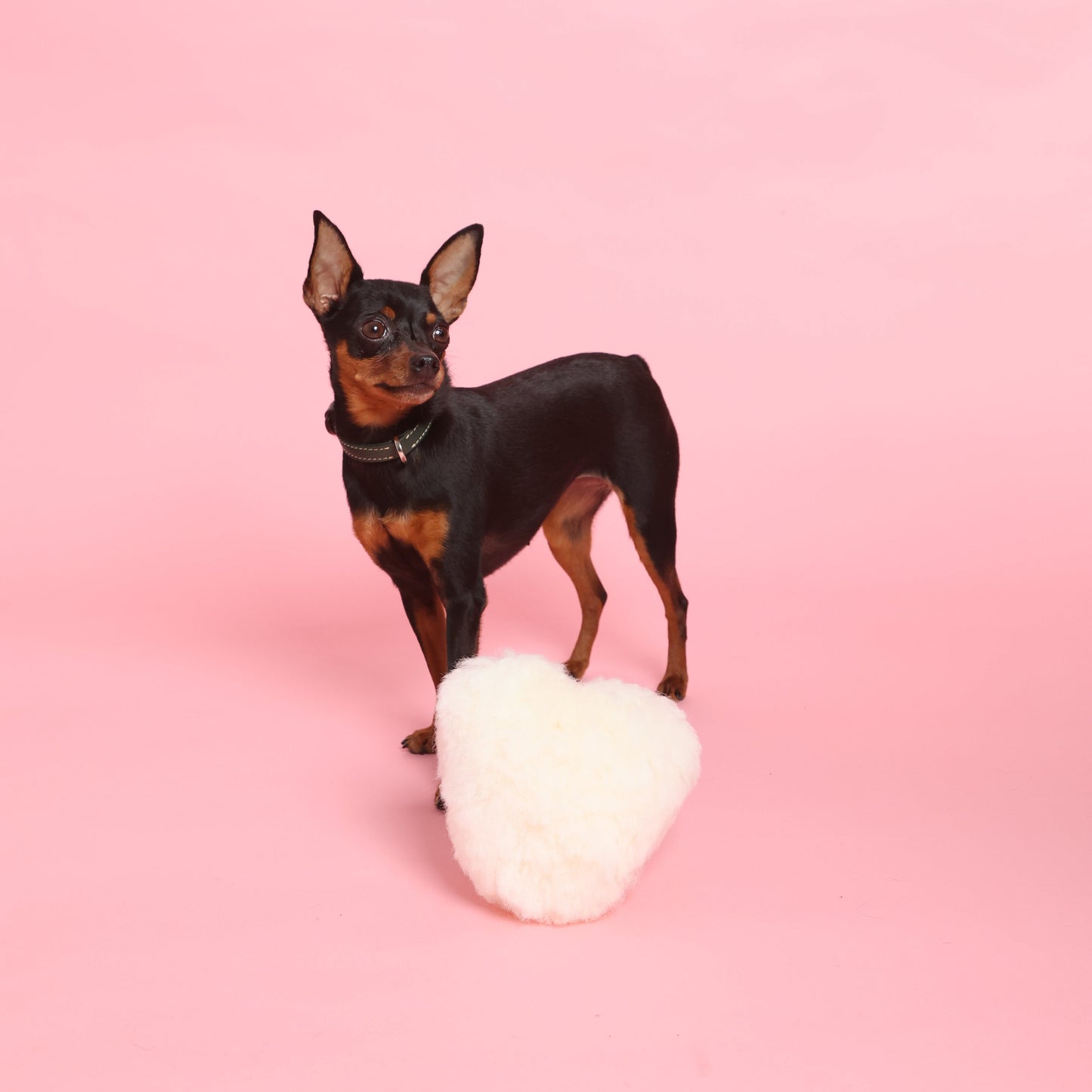 Sheepskin Crinkle Hearts