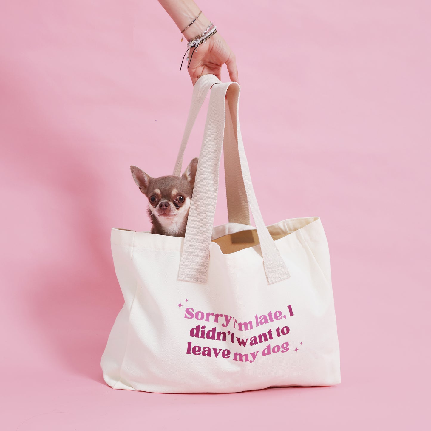 Large Canvas Cotton Dog Bag