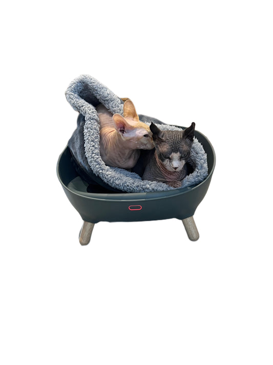 Why are Heated Beds Good for Sphynx Cats?