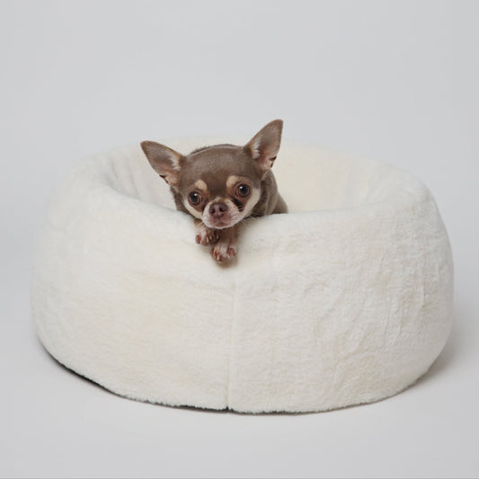 CloudNest Ortho Bed - Memory Foam Dog Bed