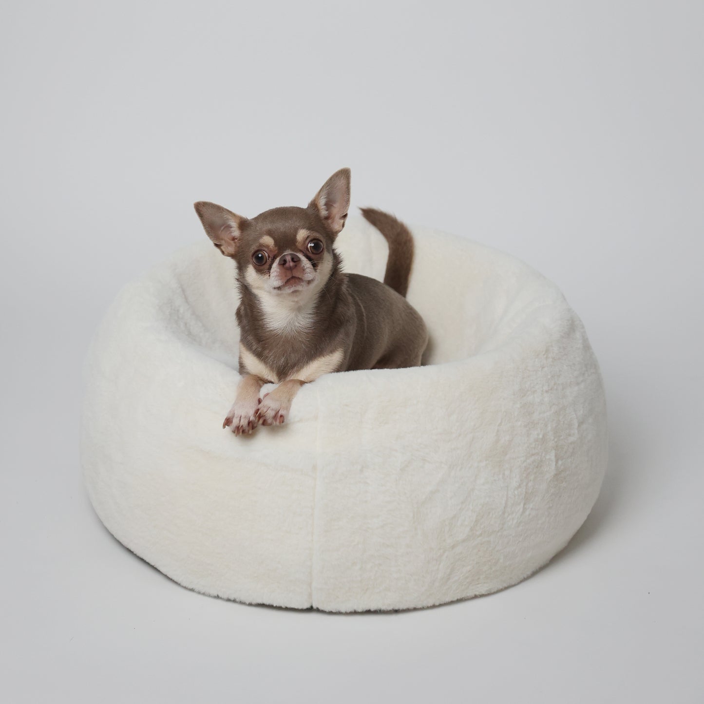 CloudNest Ortho Bed - Memory Foam Dog Bed