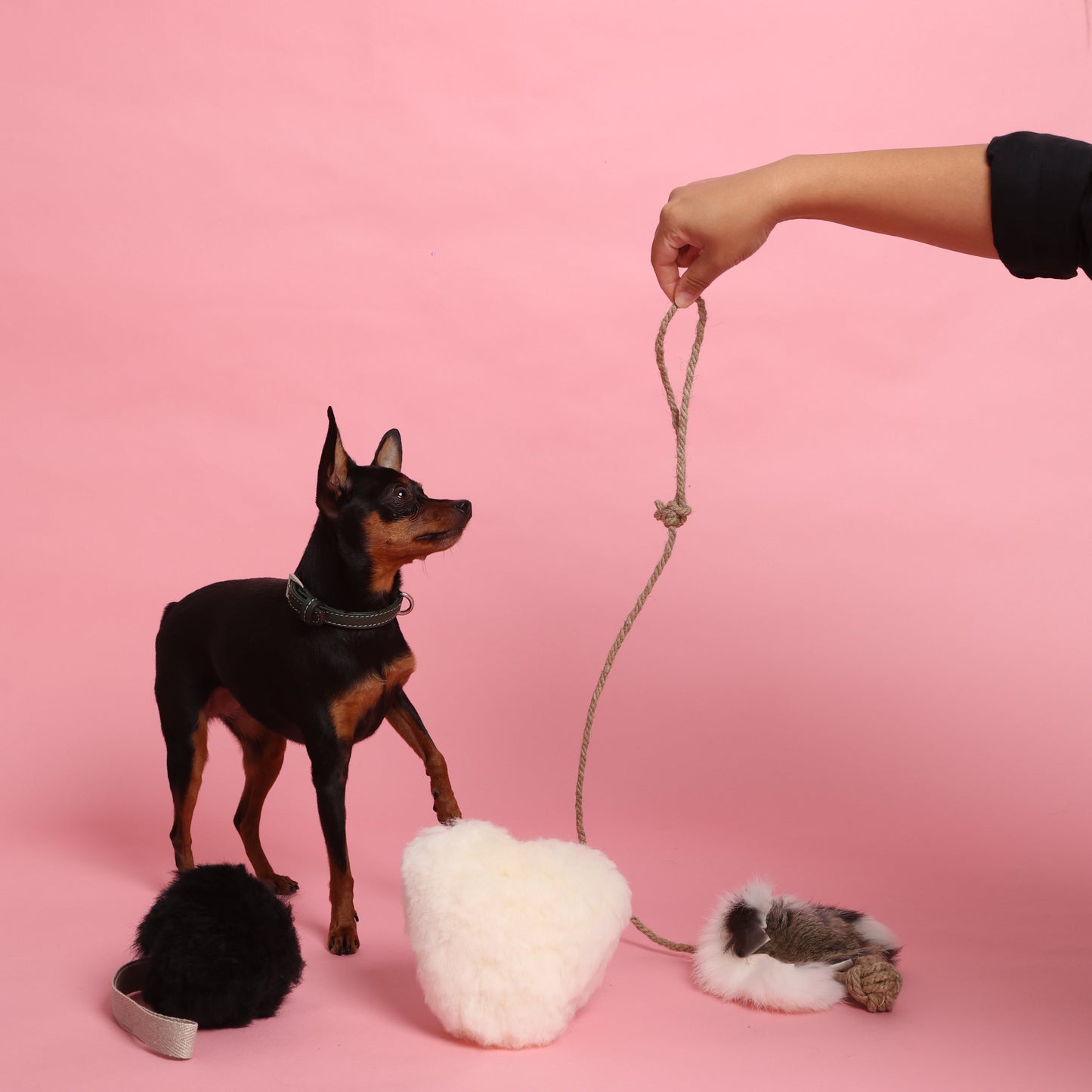 Rabbit Skin Tug