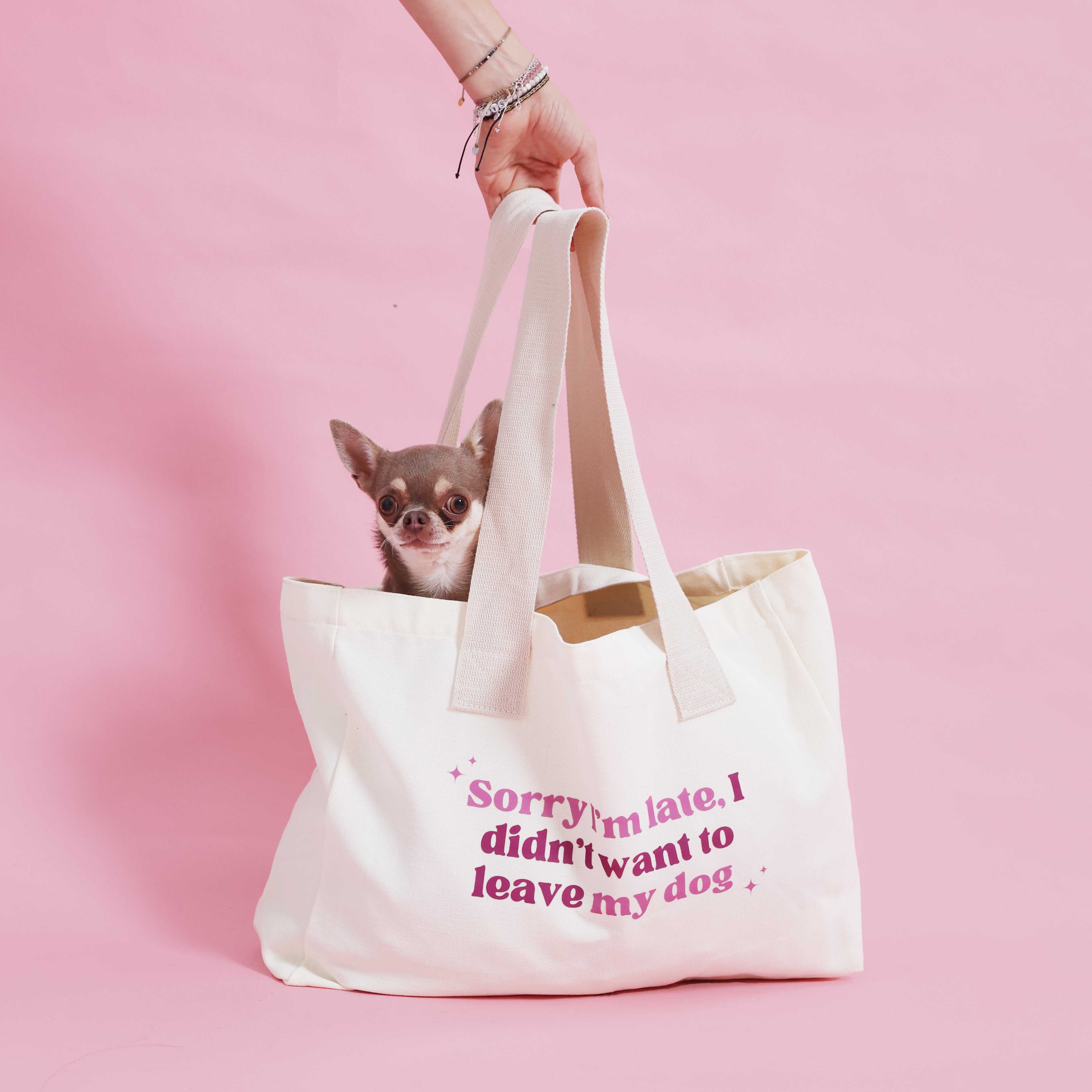 Large Canvas Cotton Dog Bag