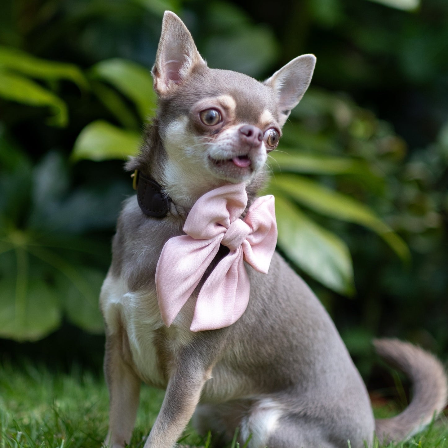 Sailor Style Bow Tie