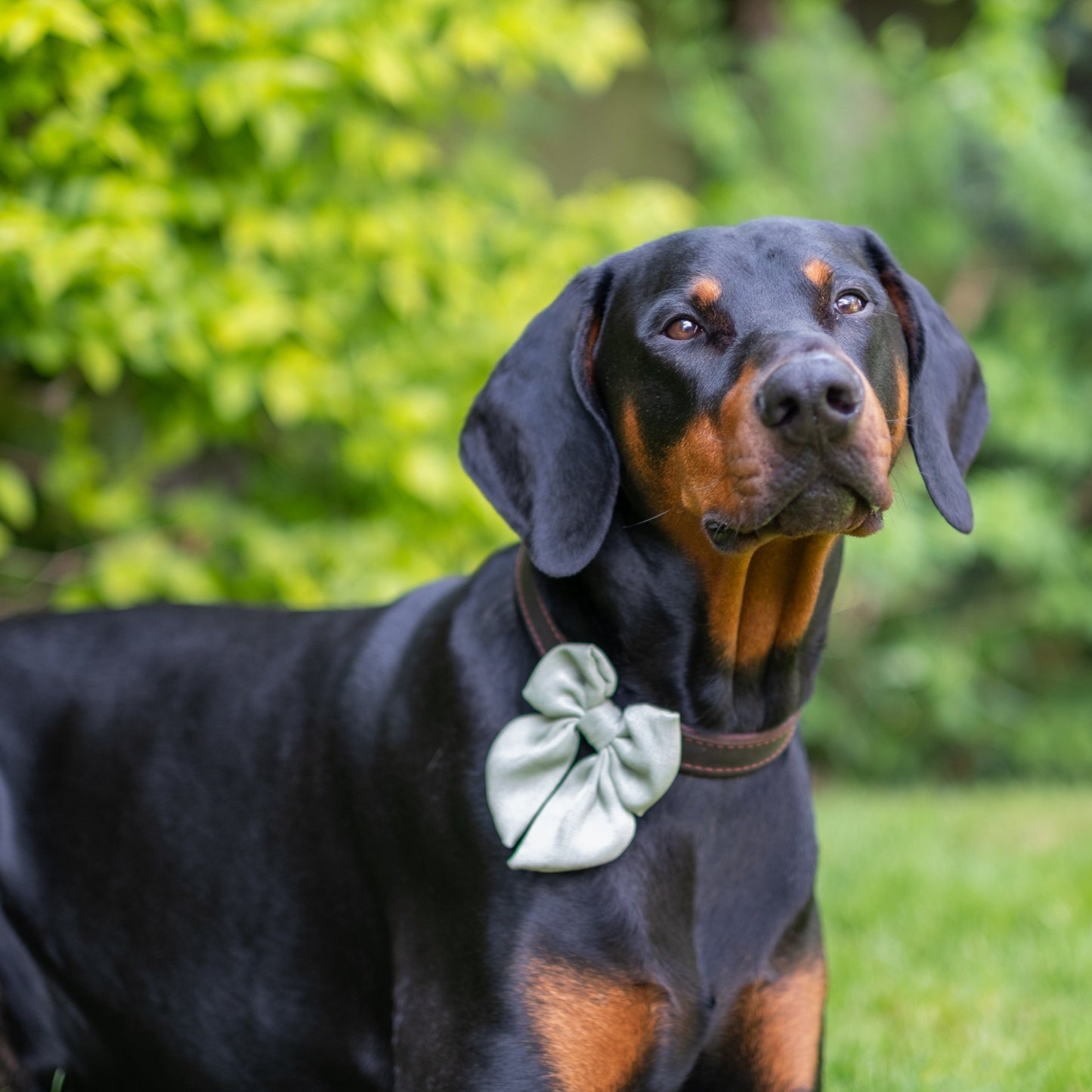 Sailor Style Bow Tie