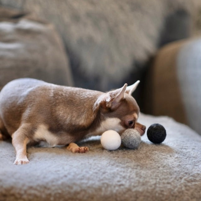 Felt Balls- Set of 3