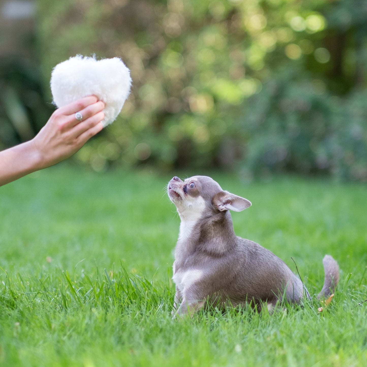 Mini Sheepskin Crinkle Heart