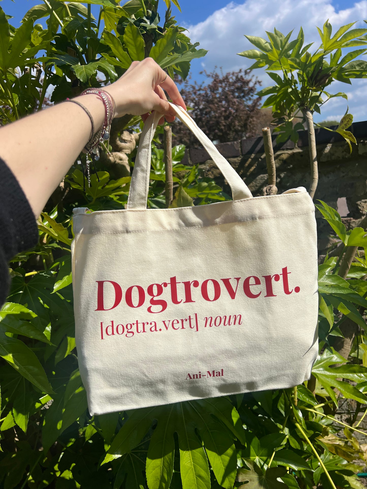 Große Hundetasche aus Canvas-Baumwolle